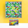 Canvas and Frame Painting Kit - Lorikeets - Image 1